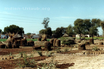 Produktionsstätte für getrocknete Kuhfladen in Agra, im Indischen Bundesstaat Uttar Pradesh.