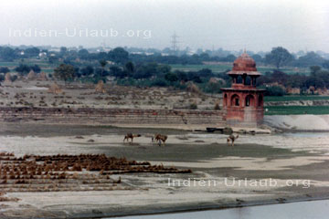 Umgebung von Agra, im Indischen Bundesstaat Uttar Pradesh. Kamelkarawane am heiligen Yanuma Fluss.