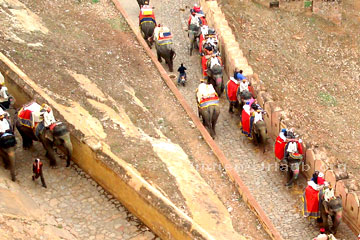 Touristen beim Elefantenreiten den Weg zwischen den Mauern zum Palast hinauf und dazwischen wie man sieht auch mal ein Inder mit seinem Moped.