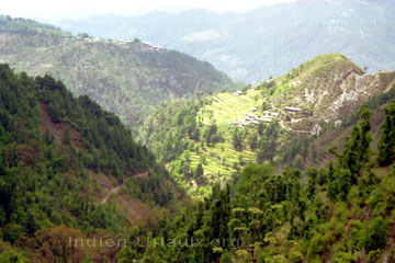 Kulturlandschaft in der Umgebung von Dharamsala.