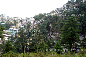 Dharamsala Häuser. Im Bundesstaat Himachal Pradesh im Himalaya, Nordindien.