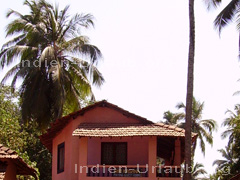 So wohnt man in Goa in einem der billigen Guesthouses. Wenn man bedenkt das die meisten Hotels doch abseits der Straße liegen, dann ist es hier doch angenehm zwischen den Kokospalmen.