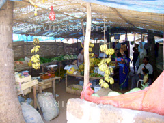Obst und Gemüse in einem kleinen Marktstand in Goa.