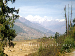 Auf dem Bild erkennt man ein breites Tal wo Getreide angebaut wird und im Hintergrund die Ausläufer vom Himalaja beim Trekking in Indien.