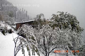 Umgebung von Manali  im Winter alles verschneit im indischen Bundesstaat Himachal Pradesh im Himalaya, Nordindien.