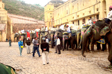 Indische Mahouts mit ihren Reitelefanten die auf Touristen warten.