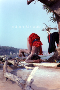 Yoga bei einem Yogi in Indien. Bei der Ausführung von einem Kopfstand.