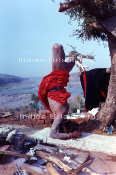 Yoga bei einem Yogi in Indien. Vollendeter Kopfstand.