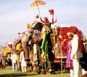 Elefanten in Rajasthan geschmückt für die indische Hochzeit. So sehen dann die Elefanten für die Rajputen aus.
