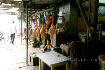 Frisch geschlachtete Hühner die auf einem Markt in Indien zum Verkauf angeboten werden und gerupft am Hacken hängen.