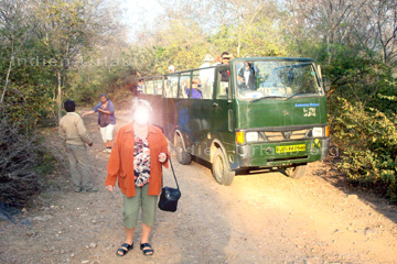 Busse mit denen man zur Tierbeobachtung in den National Park hinein fährt.