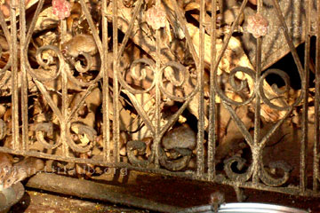 Die Schüsseln werden bei der Fütterung der Ratten im Rattentempel in Indien direkt vor das Rattennest gestellt wo sich hunderte Ratten tummeln.